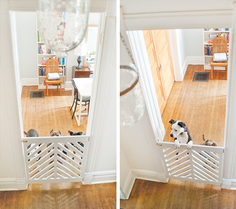 inside dog gate ideas